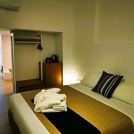 شقة فندقية Muses Cycladic 4*